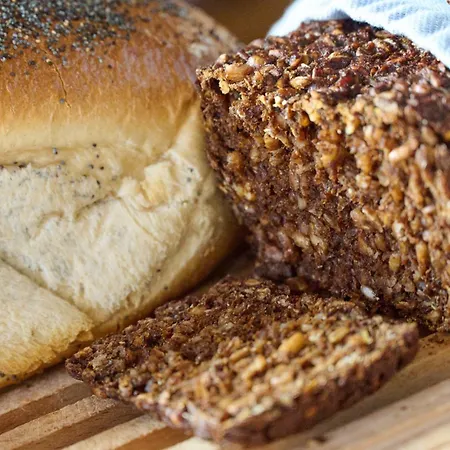 Kemping Randboldal & Randbøl