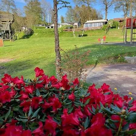 Randbøldal Camping&cabins Campingplads Randbøl