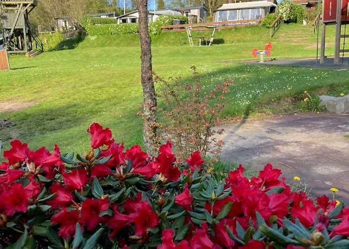 Randboldal & Camping Randbøl